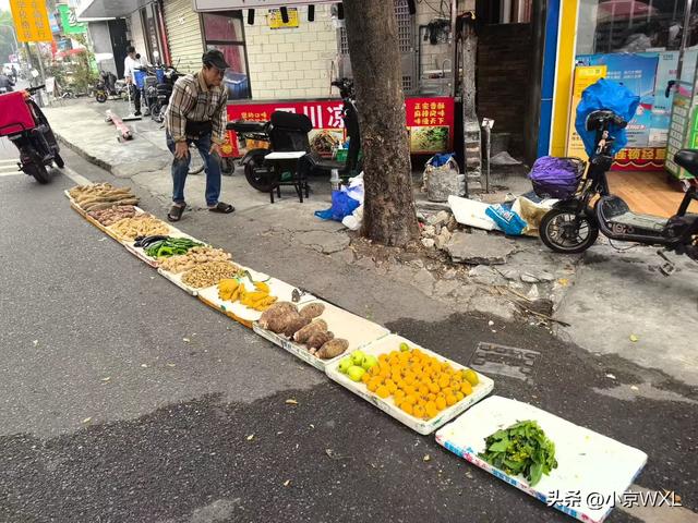 广州大学城小谷围岛