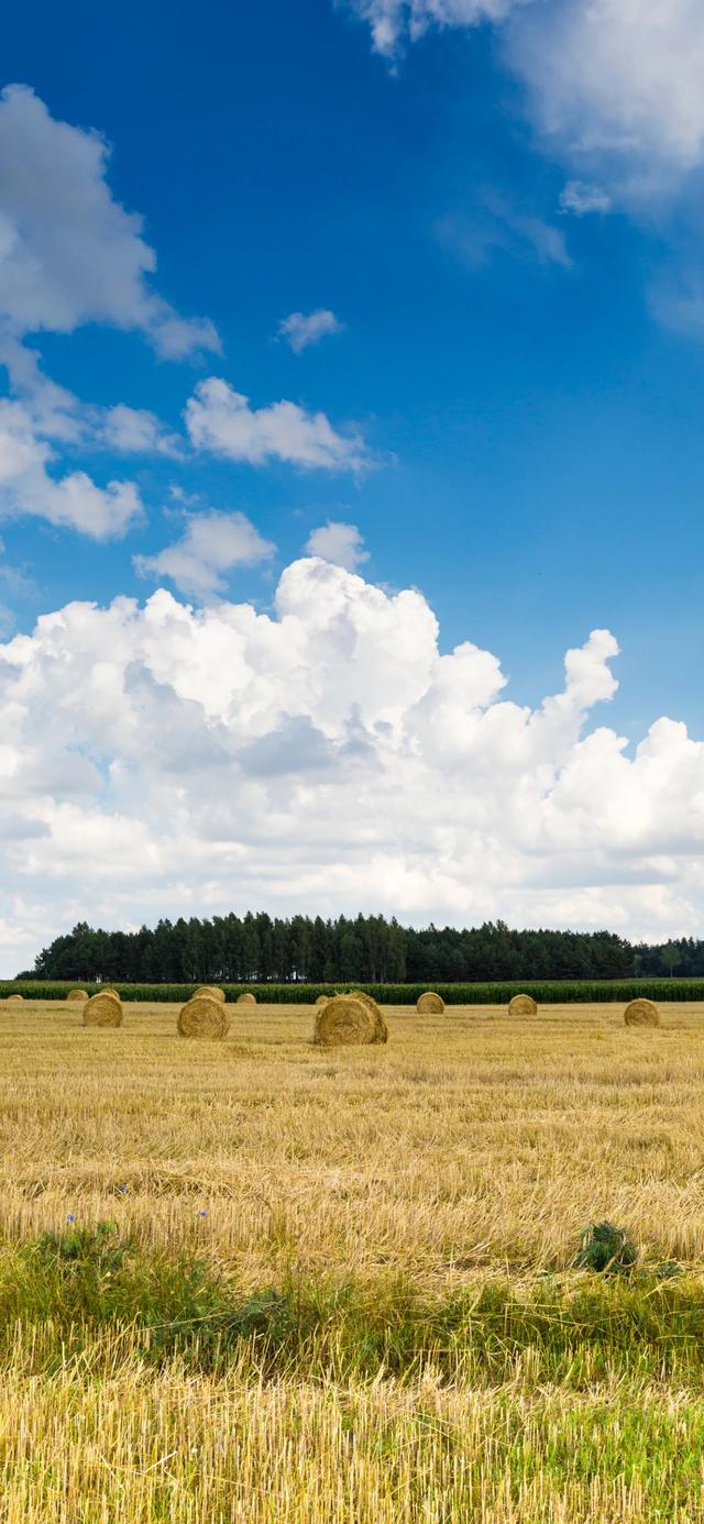 手机壁纸|山水大自然风景美图