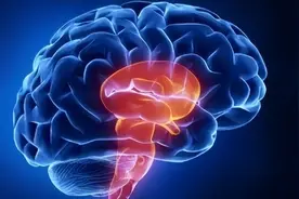 脑干出血危险期有多久？若能熬过这3个阶段，或迎来长...图片