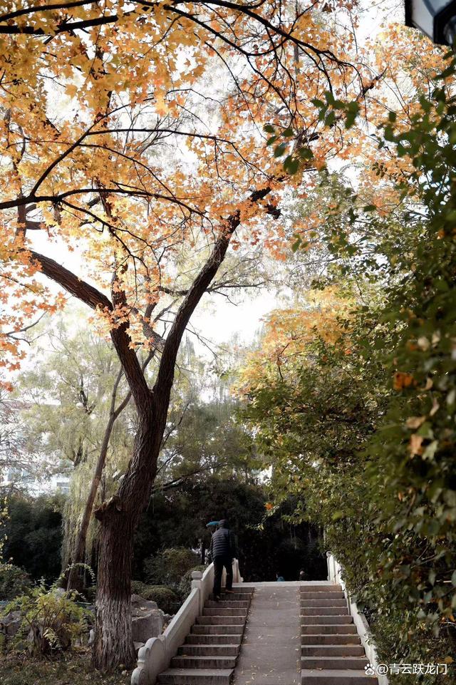 临床最优化（医学专业天坑之争临床医学真的饱和了吗过来人说实话）