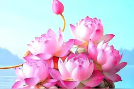 女人如花，惊艳岁月，愿你有人相思，疼入骨，有人懂你，情如初图片