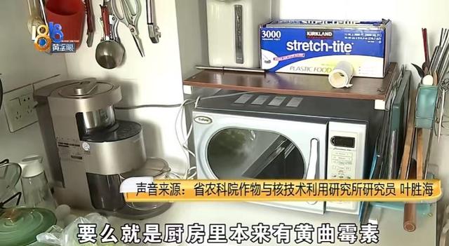 什么情况下食物会滋生黄曲霉素