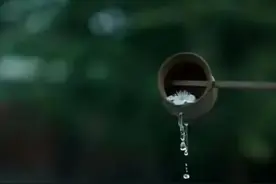 这一段话说得非常好：“人和人是不一样的图片