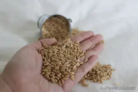 抑郁症，胃口不好图片