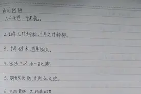 民间俗语：升米恩，斗米仇释，百年之计种松，十年之计种柳图片