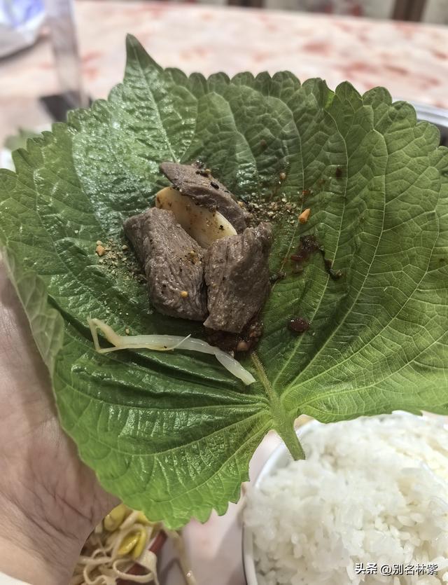 落地海拉尔，开始呼伦贝尔大环线公共交通自由行，分享交通和住宿