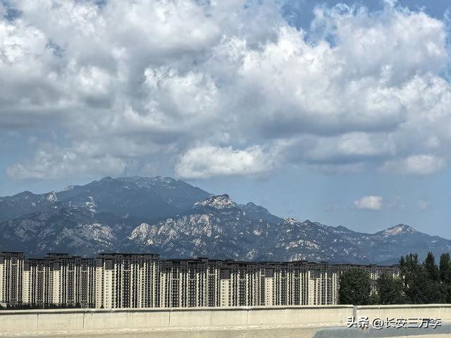 北上大草原第14站：南回山东微山岛