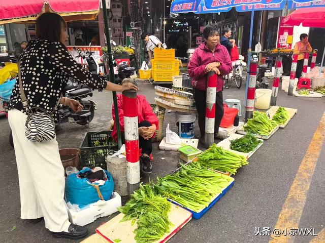 广州大学城小谷围岛