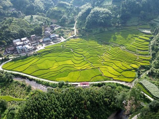 [广西 柳州市融安县板榄镇]