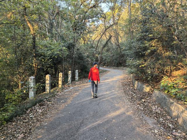 南京紫金山郊野徒步