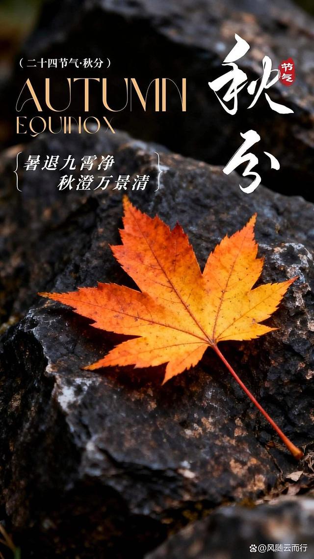 12条秋分·藏在时光里的秋日絮语