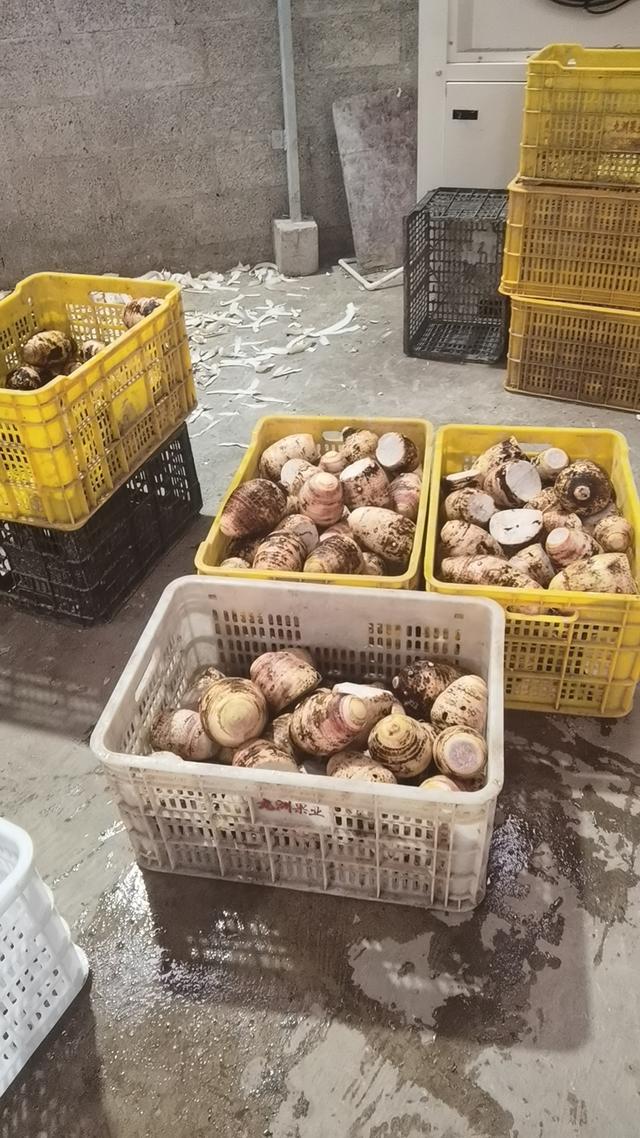 外卖大战美团能否保持领先