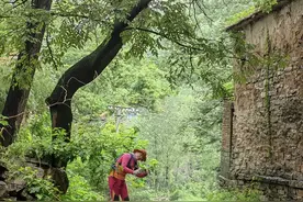 周日自驾，青州这个原生态，未开发，不收费的小山村，竟然这么美图片