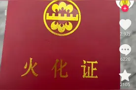 胖猫事件似乎进入了高潮图片