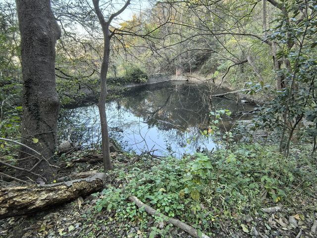 南京紫金山郊野徒步