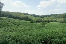六合方山-偏而美的一座山图片
