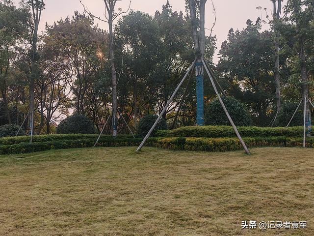 凤栖绿道，湖畔闲游——成都金牛区凤凰山公园游记