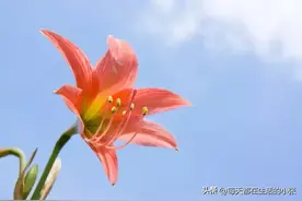 强大自己内心的25句话，迷茫的时候看一看图片