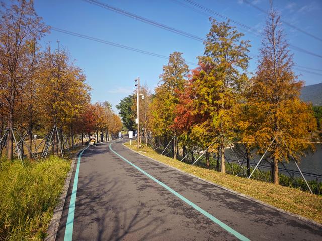 西丽湖绿道骑行随拍