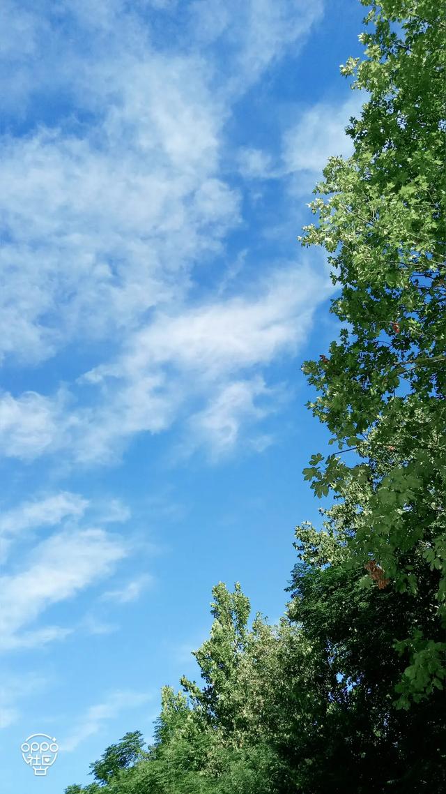 天气多变需要注意什么