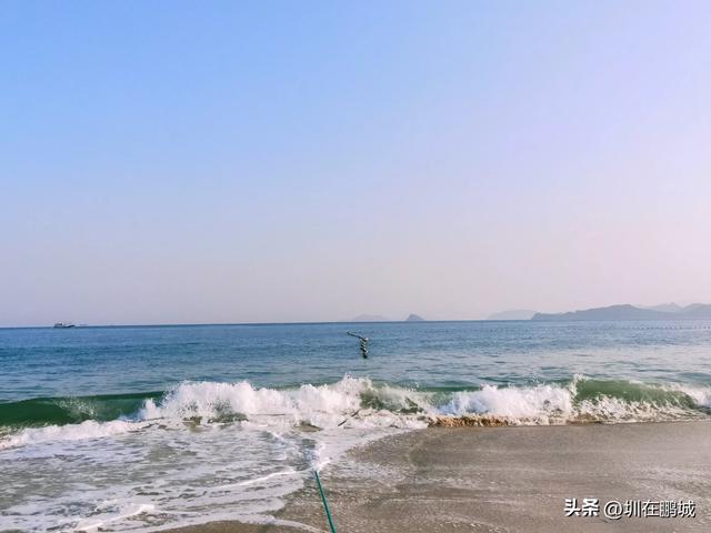 景区人多热闹和人少清净选哪个