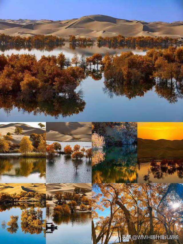 三千载守望，一季秋成诗。风骨铸金黄，大漠最传奇。