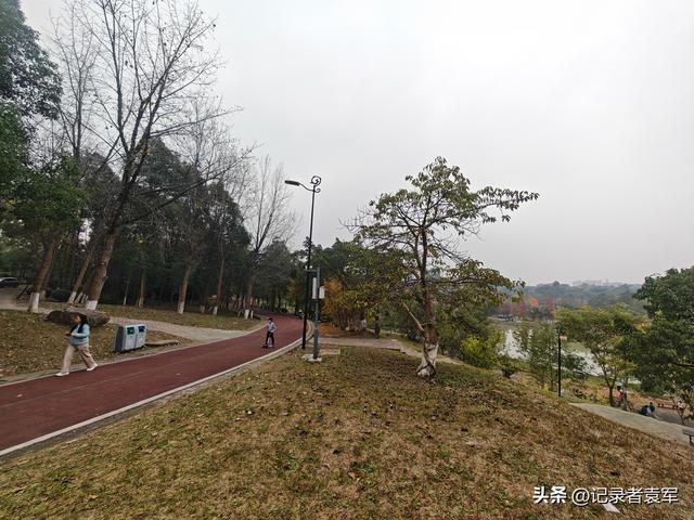 凤栖绿道，湖畔闲游——成都金牛区凤凰山公园游记