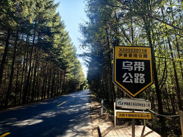 两人一车一狗自驾游全国，哈尔滨到伊春走最美乌带公路，来早了