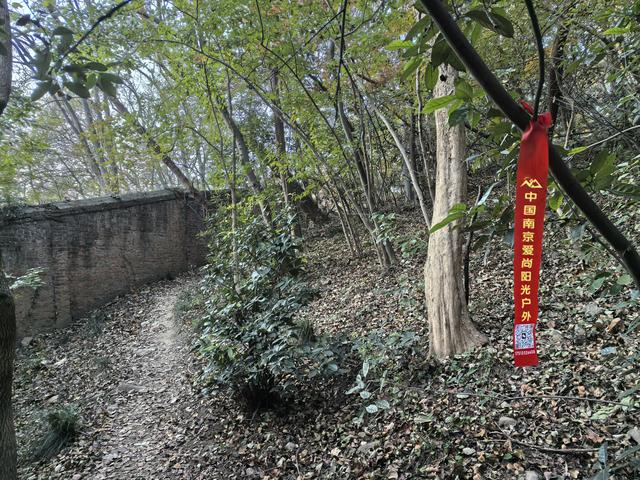 南京紫金山郊野徒步