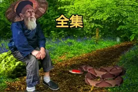 民间小故事：农夫与蛇图片