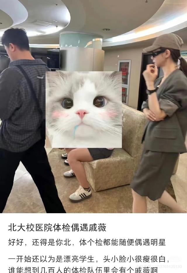 明星读EMBA是为了学知识还是混人脉