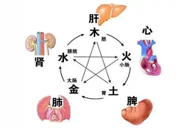 五脏最喜欢的中成药，一次讲明白！[给力][给力]图片