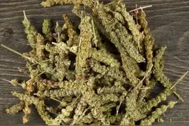 顽固性荨麻疹，皮肤瘙痒症，可以用这个方子，老百姓交...图片