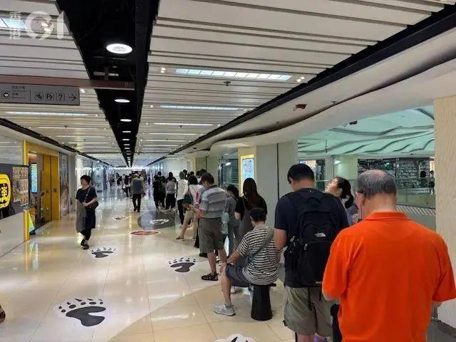 第一批用拼多多买屎的人出现！香港自提点员工崩溃：求放过！