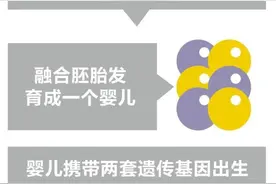 “你爸不一定是你爸，但你妈一定是你妈！” 明确告诉...图片
