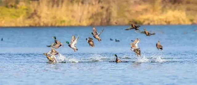 开学第一课！在金坛还能这样学？
