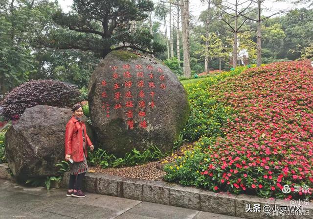 新羊城八景之三：越秀风华
