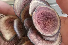 耳鸣有嗡嗡声，呼呼声，多半是这个原因引起！ 上周坐...图片