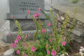 大连金州区藏着一个1400年的古佛洞，据说有1亿年了，不花钱图片