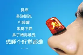 通窍鼻炎颗粒与鼻渊通窍颗粒的区别 通窍鼻炎颗粒：辛夷图片