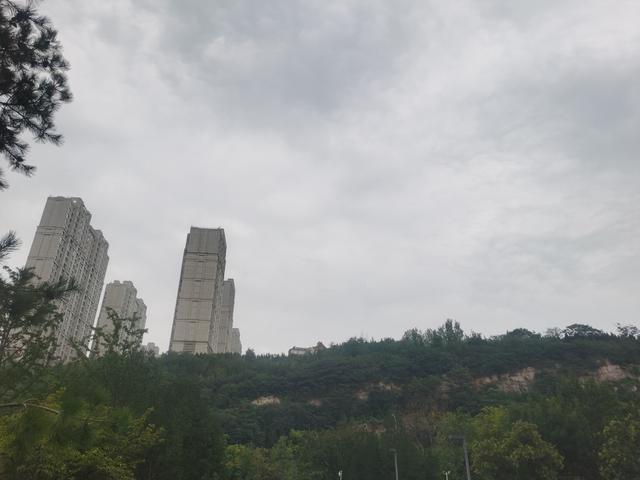 青岛海牛对阵泰山队胜算几何