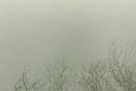 聊聊中国工厂的十二小时两班倒。 中国工厂的制度图片