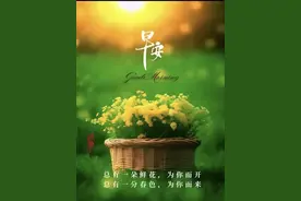 法学专业不做律师能干啥？披露法学专业6个热门就业方向图片
