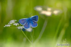 当那段曲折的遭遇发生后，我的生活就彻底改变了，从此...图片