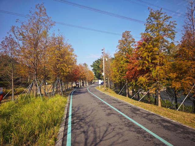 西丽湖绿道骑行随拍