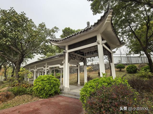 广州大学城小谷围岛