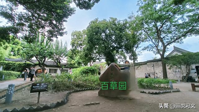 读鲁迅的《阿长与(山海经）》