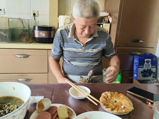 养乌龟当宠物有啥趣事
