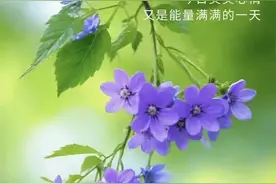 研三毕业才发现，读研一定要功利一点！ 1.学业上功利图片