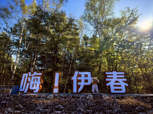 两人一车一狗自驾游全国，哈尔滨到伊春走最美乌带公路，来早了